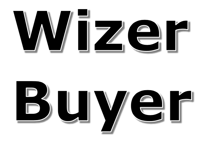 Logo in large black letters with shadow says: Wizer Buyer